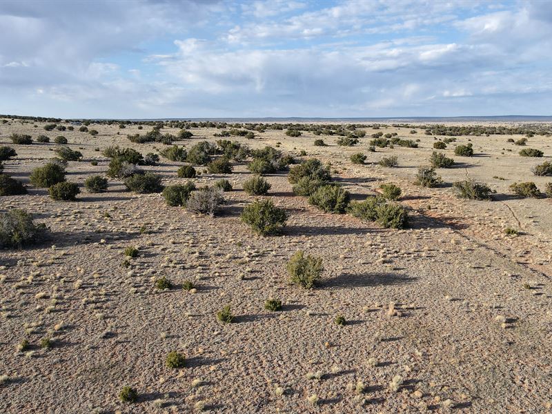 1 Acre in Apache County, AZ : Chambers : Apache County : Arizona