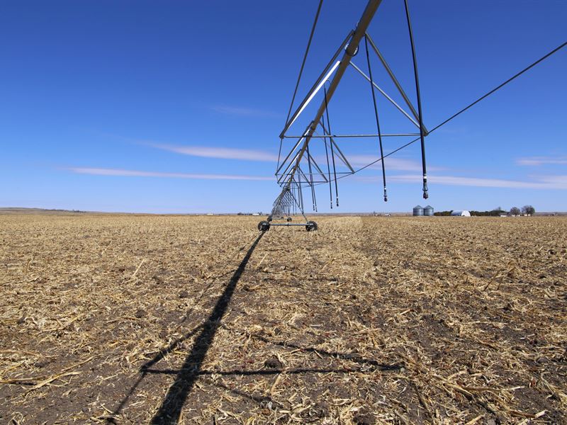 Ovid Irrigated 80 : Ovid : Sedgwick County : Colorado