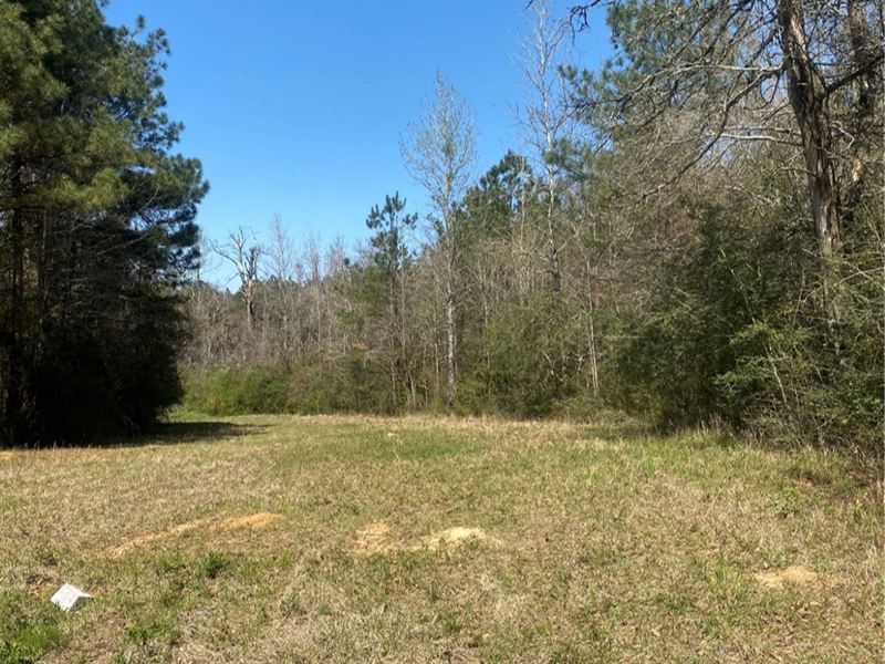 8 Acres in Pike County in Summit : Summit : Pike County : Mississippi