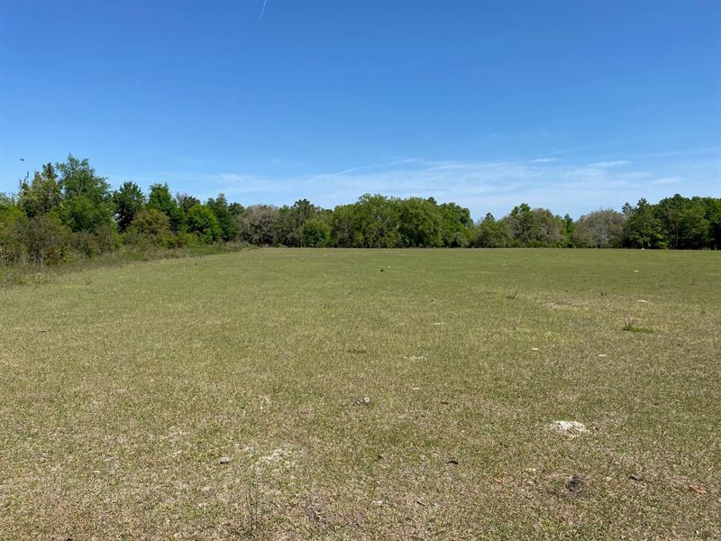 24 Acre Farm for Only $120,000 : Mayo : Lafayette County : Florida
