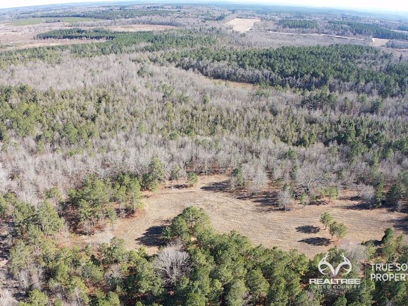 Barnwell County Hunting & Timber : Barnwell : Barnwell County : South Carolina