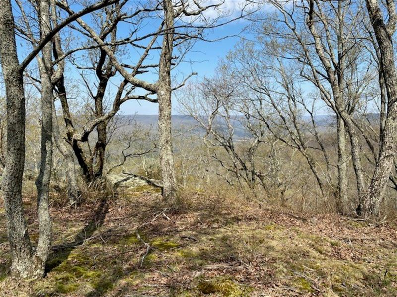 69.01+/- Acres Near Sewanee, TN : South Pittsburg : Marion County : Tennessee