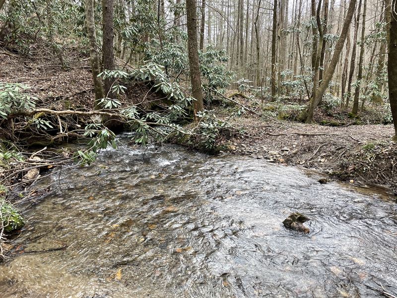 194+/- Ac Next to US Forest Service : Blue Ridge : Fannin County : Georgia