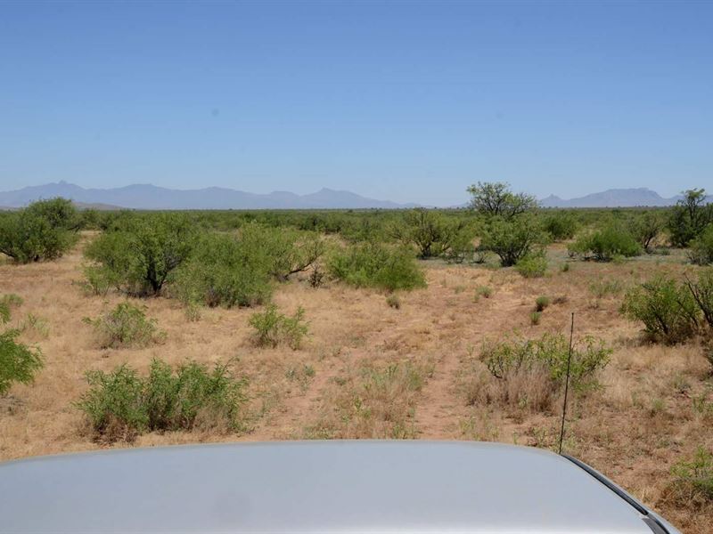 Ru-4, Med Can Approved, $300/Mo : Sunizona : Cochise County : Arizona