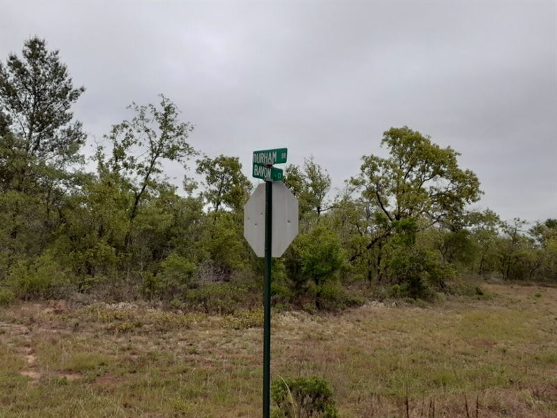 Lot on Cul-De-Sac in Sunny Hills : Chipley : Washington County : Florida