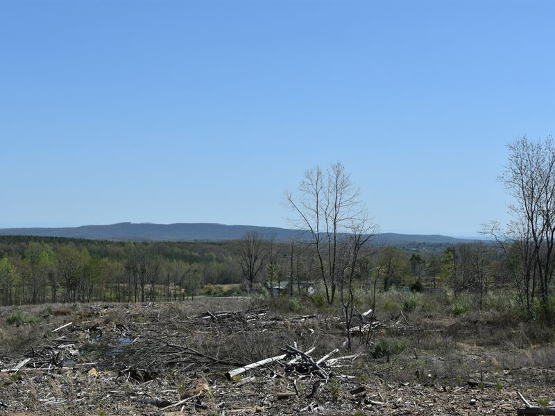 Tir Seq 1009 : Harriman : Cumberland County : Tennessee