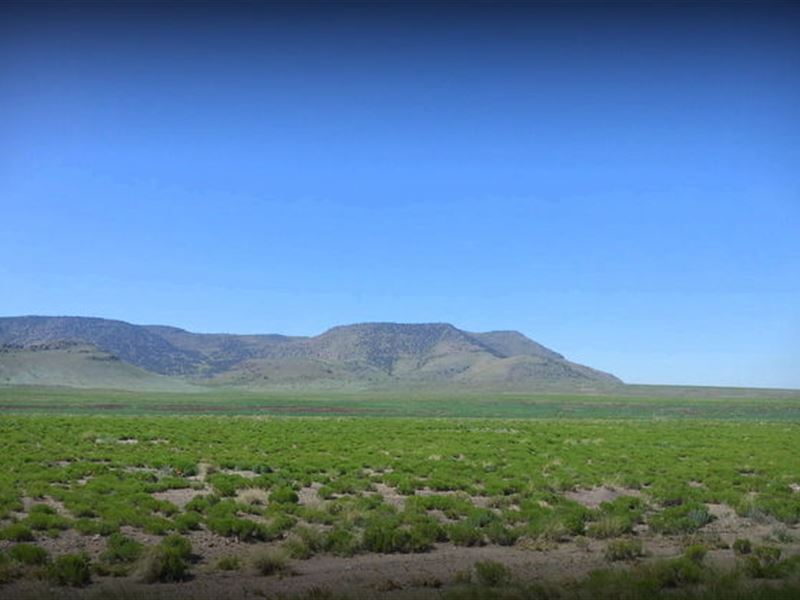 Flores 480A : Manassa : Conejos County : Colorado