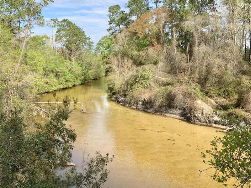 The Styx River Persimmon Creek Oasi : Robertsdale : Baldwin County : Alabama