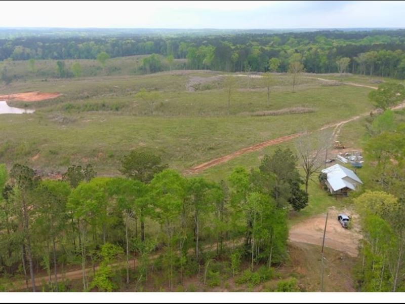 130 Acres with A Home in Simpson Co : Mendenhall : Simpson County : Mississippi