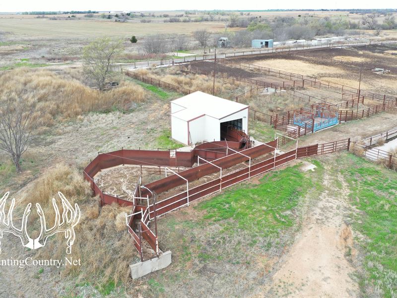 147 Acres M/L Pratt County, Kansas : Pratt : Pratt County : Kansas