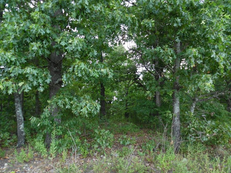 Mobile Home Lots Near Norfork Lake : Briarcliff : Baxter County : Arkansas