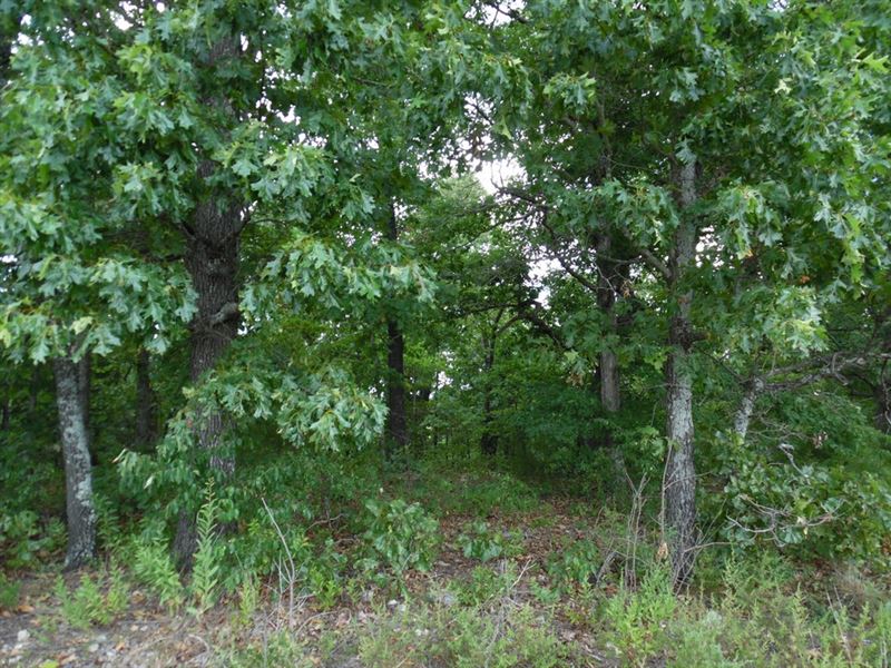 Mobile Home Lots Near Norfork Lake : Briarcliff : Baxter County : Arkansas