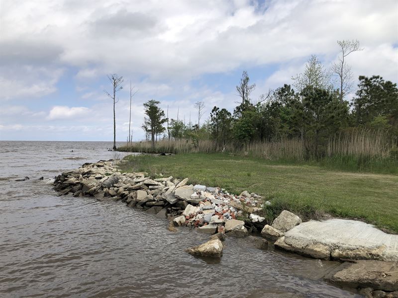 Waterfront Property for Sale in NC : Columbia : Tyrrell County : North Carolina