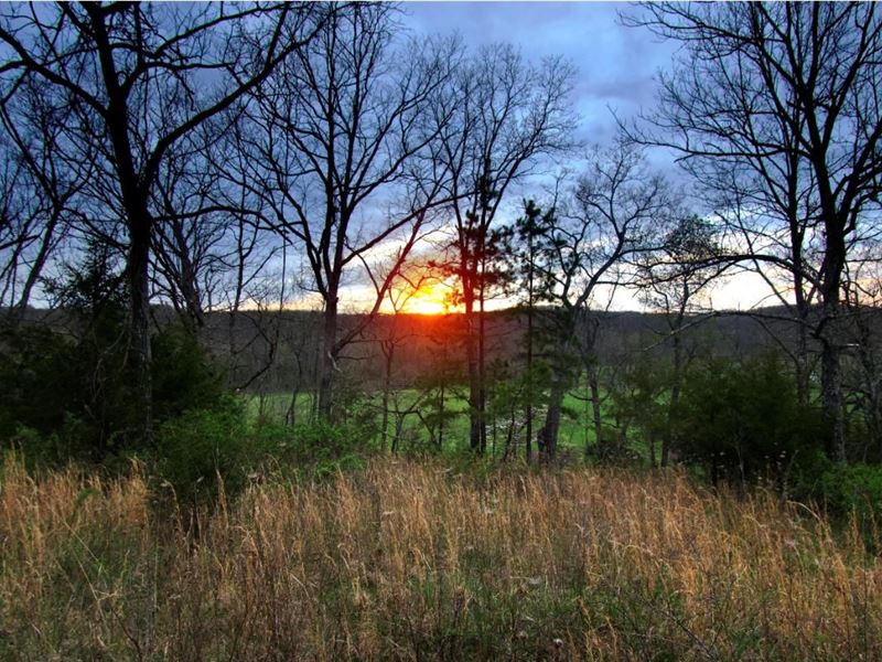 Build Your Own Slice of Paradise : Mountain Grove : Texas County : Missouri