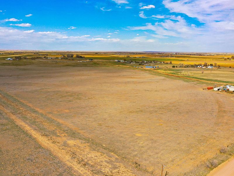 Cr86 77 Acres : Pierce : Weld County : Colorado