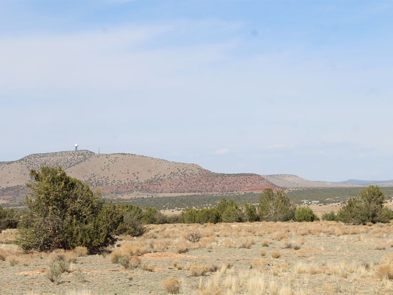 Two Adjoining Parcels Seligman AZ : Seligman : Yavapai County : Arizona