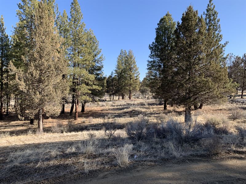 This Property Can Be Your Base Camp : Chiloquin : Klamath County : Oregon