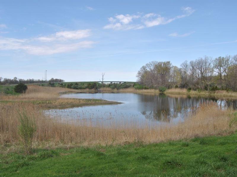158.3 Acres Marshall, IL : Marshall : Clark County : Illinois