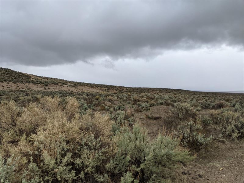 Accessable 80 Acres Boardering Blm : Burns : Harney County : Oregon