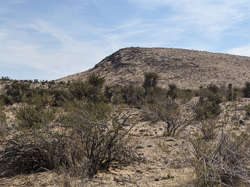 Your New Home Away From Home : Dolan Springs : Mohave County : Arizona