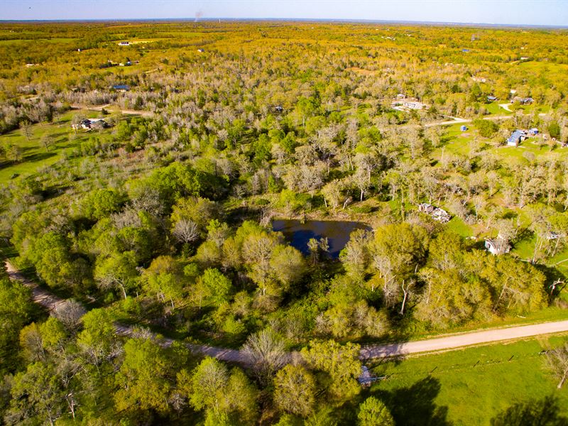 Sublime Parcel in Caldwell, TX Land for Sale by Owner in Caldwell