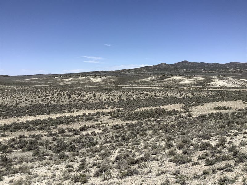 No Neighbors, No Worries : Montello : Elko County : Nevada