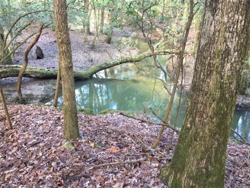 5.02 +/- Ac with Year Round Creek : Sequatchie : Marion County : Tennessee