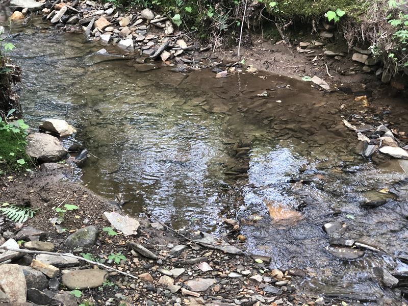 Creekview Acreage in Jasper : Jasper : Pickens County : Georgia