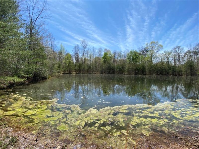 12.2+/- Acres Wooded, Lake : Tracy City : Grundy County : Tennessee