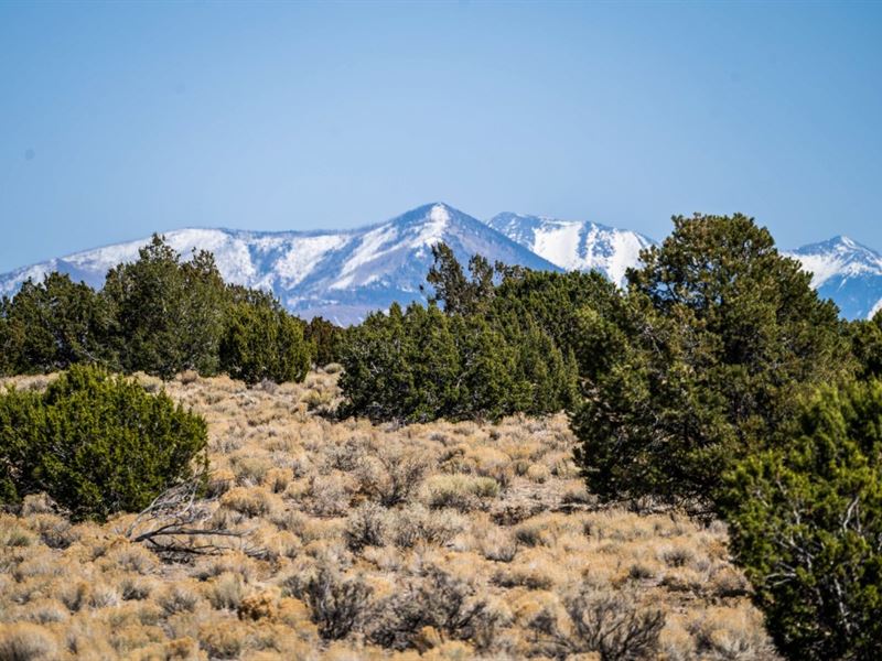 Owner Fin Easy Access Mountain View : Williams : Coconino County : Arizona