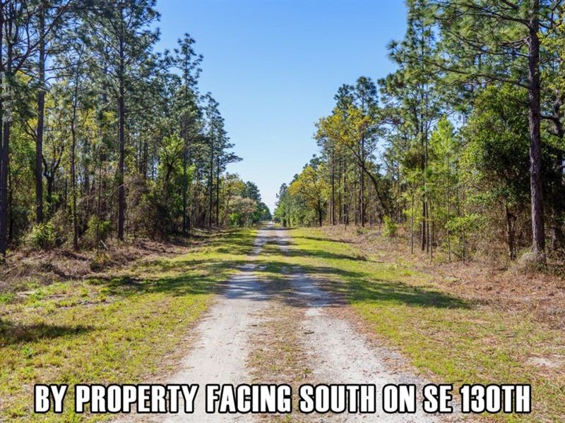 $3,900 Down Payment, Quiet Area : Dunnellon : Levy County : Florida