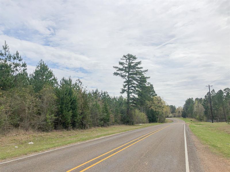148 Acres Fm 251, Maya 1012 : Bivins : Cass County : Texas