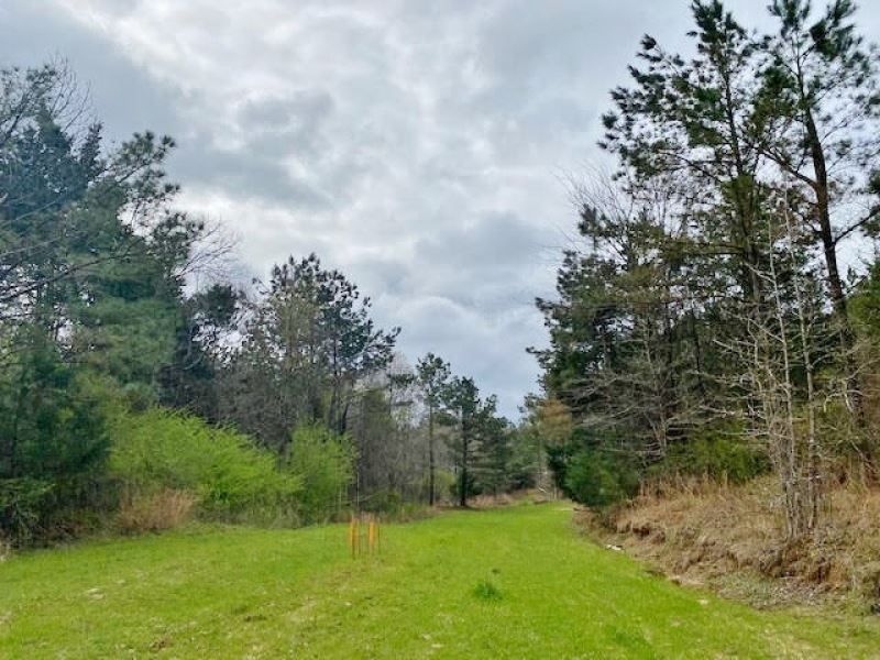 180.89 Acres : Utica : Hinds County : Mississippi