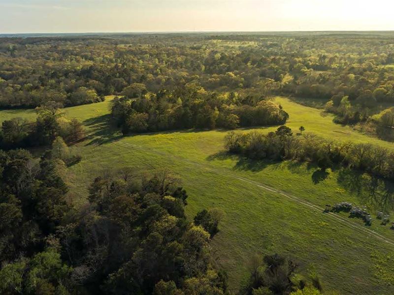 Hidden Springs Ranch : Palestine : Anderson County : Texas