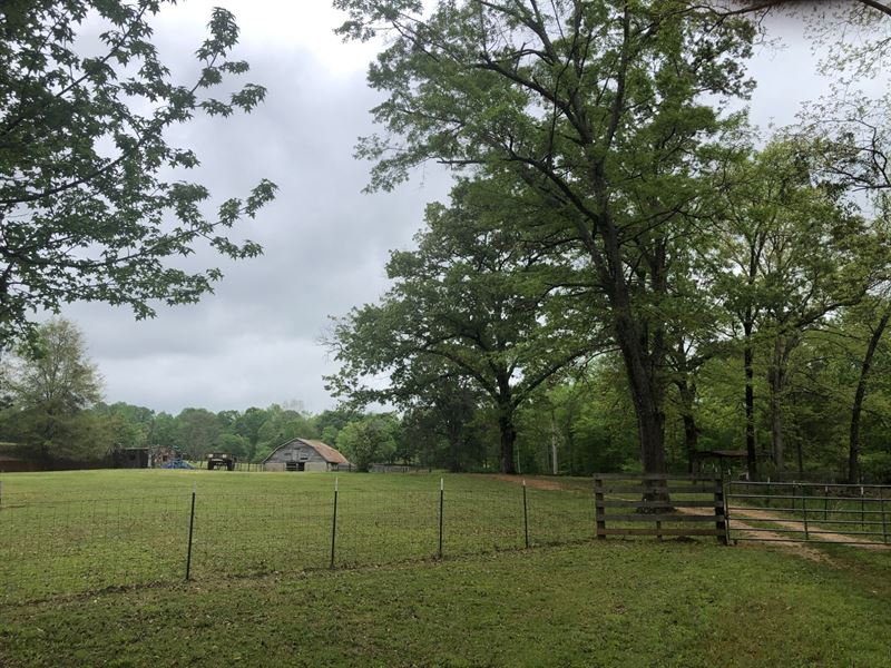 79 Ac Elkins Rd Land for Sale in Reeltown, Tallapoosa County, Alabama