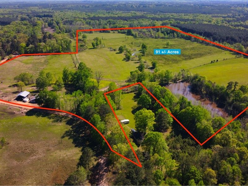 91 Acres in Oktibbeha County in Sta : Starkville : Oktibbeha County : Mississippi