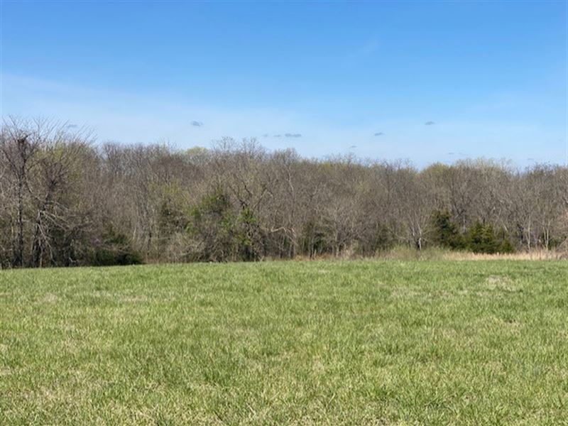 Winston MO Small Acreage for Sale : Winston : Daviess County : Missouri