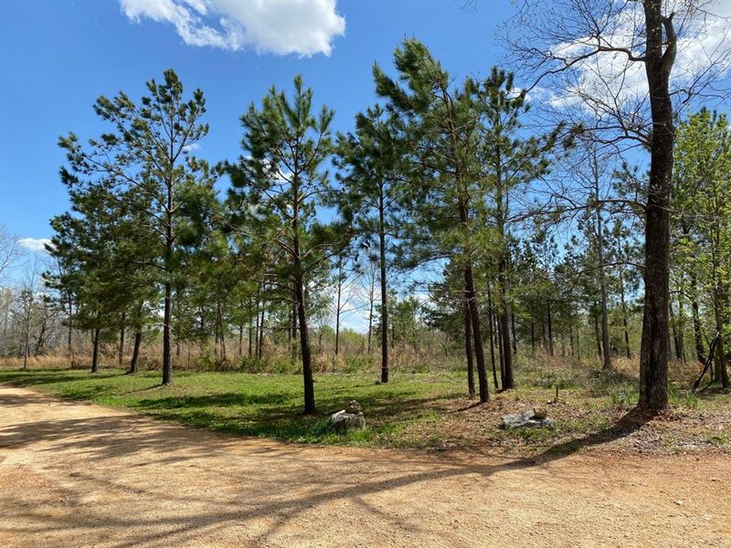 Land Acreage Mount. Pleasant : Mount Pleasant : Maury County : Tennessee