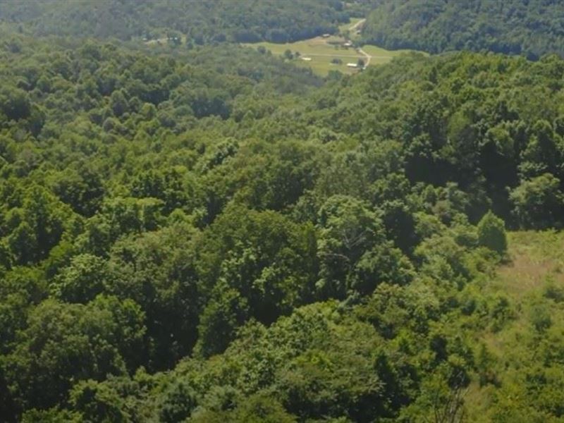 Tennessee & Virginia Hunting : Sneedville : Hancock County : Tennessee