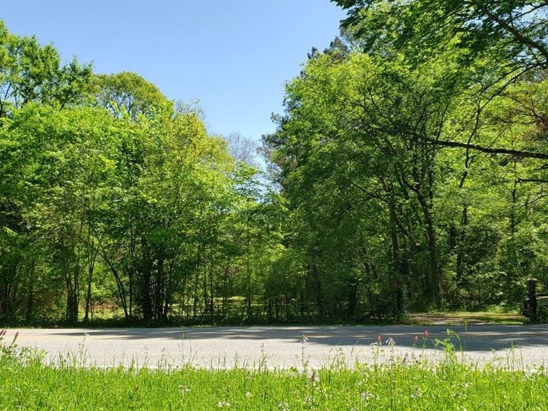 Beautiful East Texas Acreage : Palestine : Anderson County : Texas
