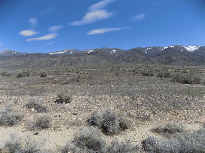 Residental Lot Fire Department : Lovelock : Pershing County : Nevada