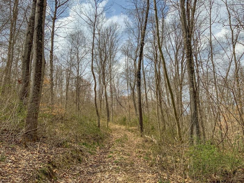 Goose Creek Rd, 28 Acres, Vinton : McArthur : Vinton County : Ohio
