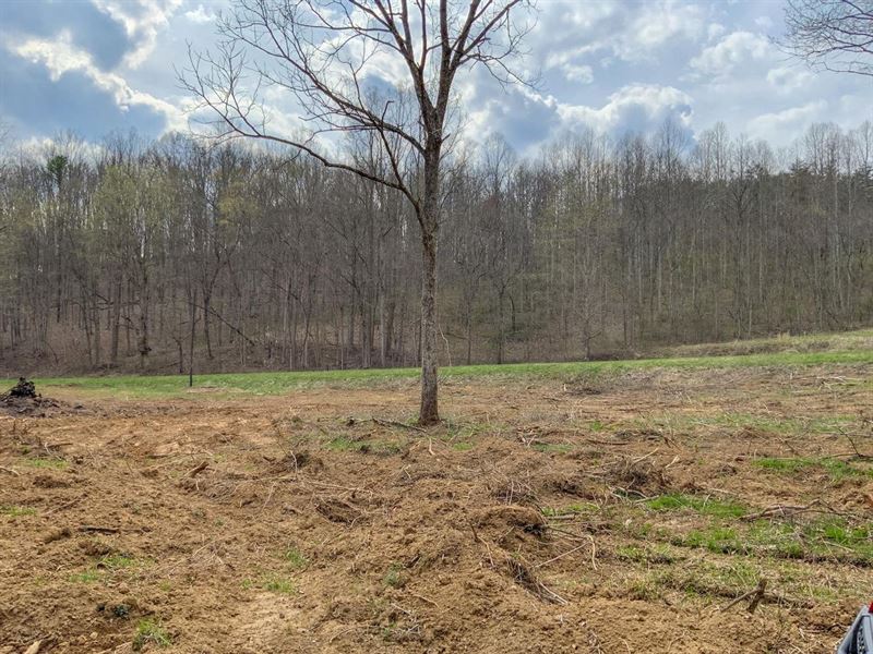 Goose Creek Rd, 80 Acres, Vinton : McArthur : Vinton County : Ohio
