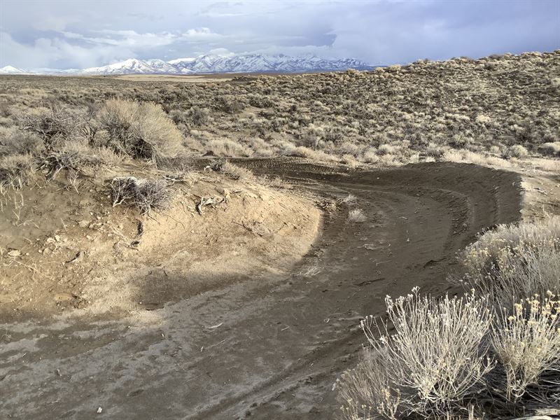 Off Grid and Mountain Views : Elko : Elko County : Nevada