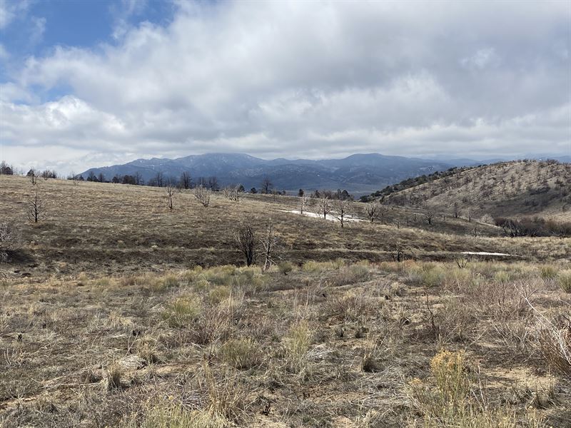 Rolling Land, Lots of Green, Views : Fort Garland : Costilla County : Colorado