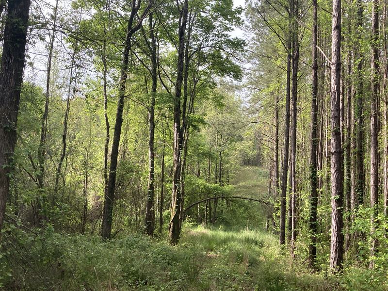 Perry County Tract : Sprott : Perry County : Alabama