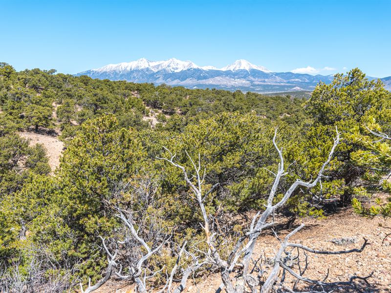 5.06 Recreation Acres in Colorado : Fort Garland : Costilla County : Colorado