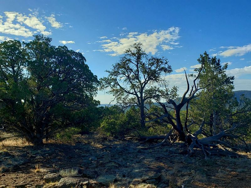 Awesome Views Over 37 Acres : Seligman : Yavapai County : Arizona