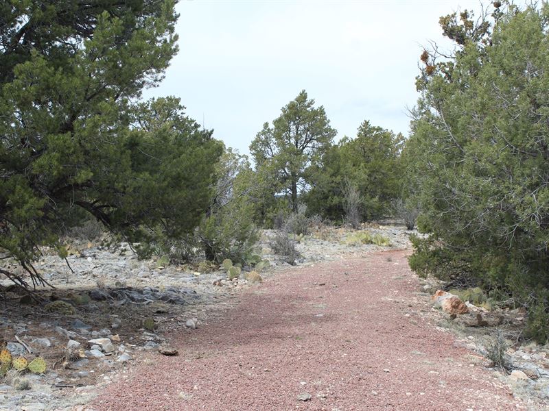 Scenic Mountain Acreage, Northern Land for Sale in Seligman, Yavapai