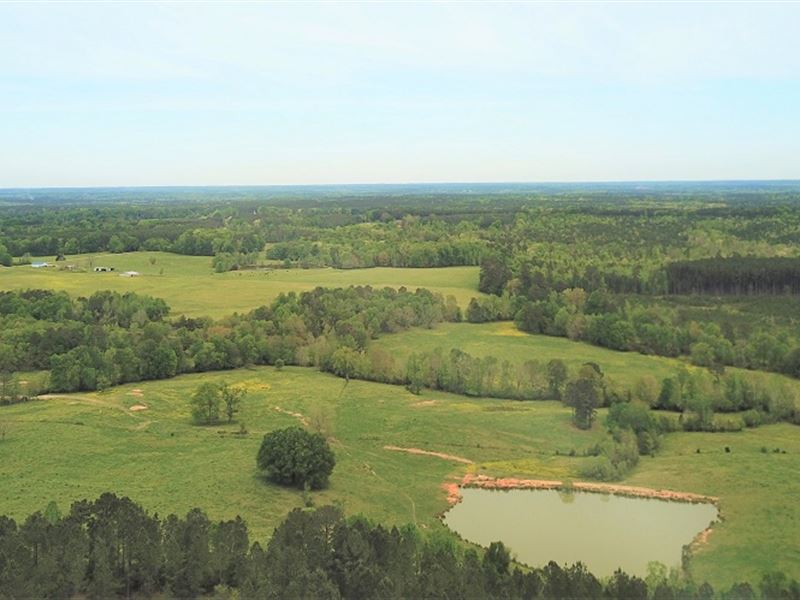 Pasture Land with Stocked Fish Pond : Crawfordville : Taliaferro County : Georgia